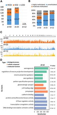 PCGIMA: developing the web server for human position-defined CpG islands methylation analysis